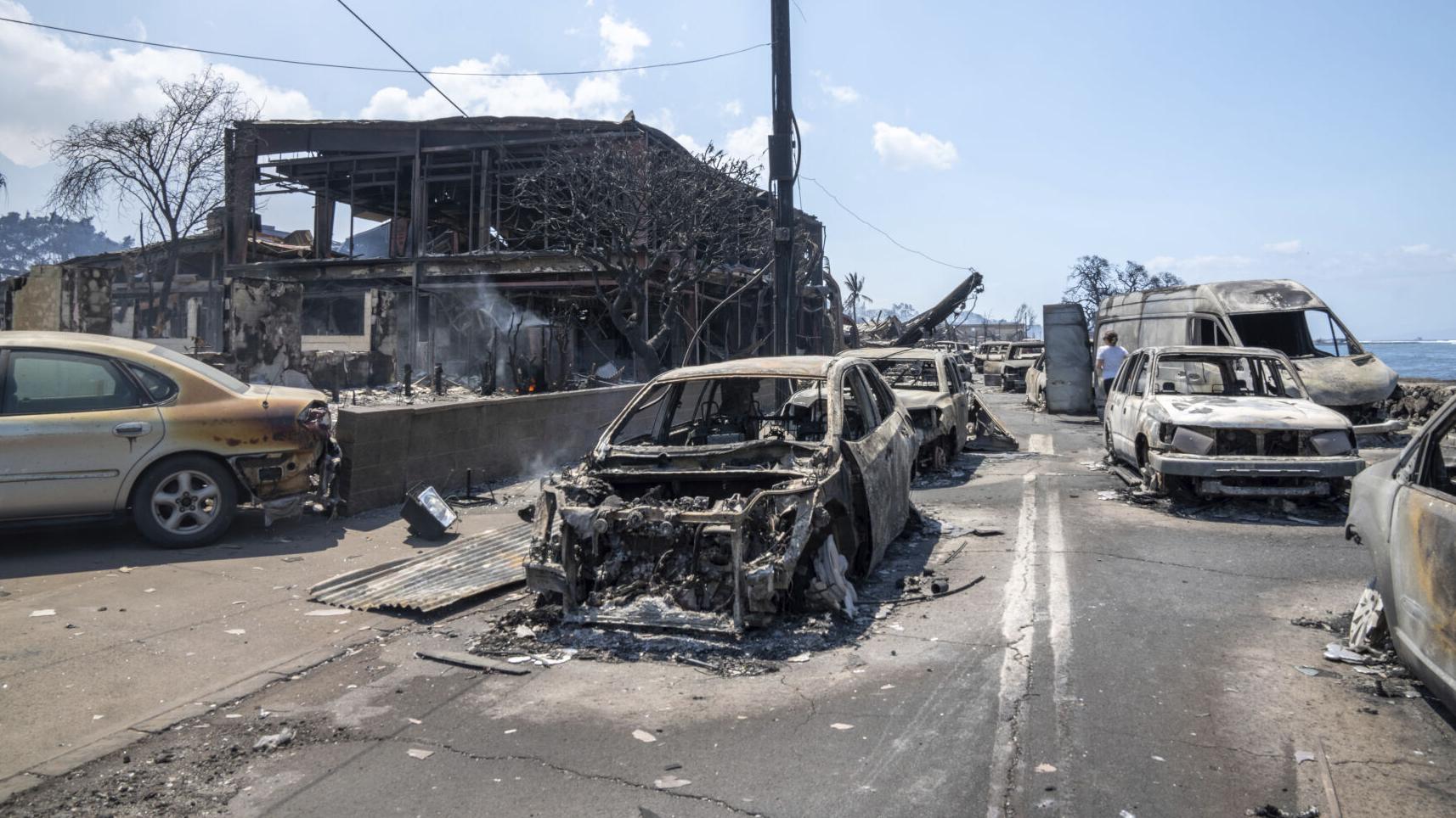 'Nothing left': Future unclear for Hawaii residents who lost it all in fire